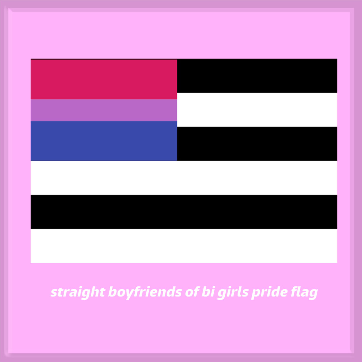 Straight boyfriend and Bi girls pride flag Meme Tshirt